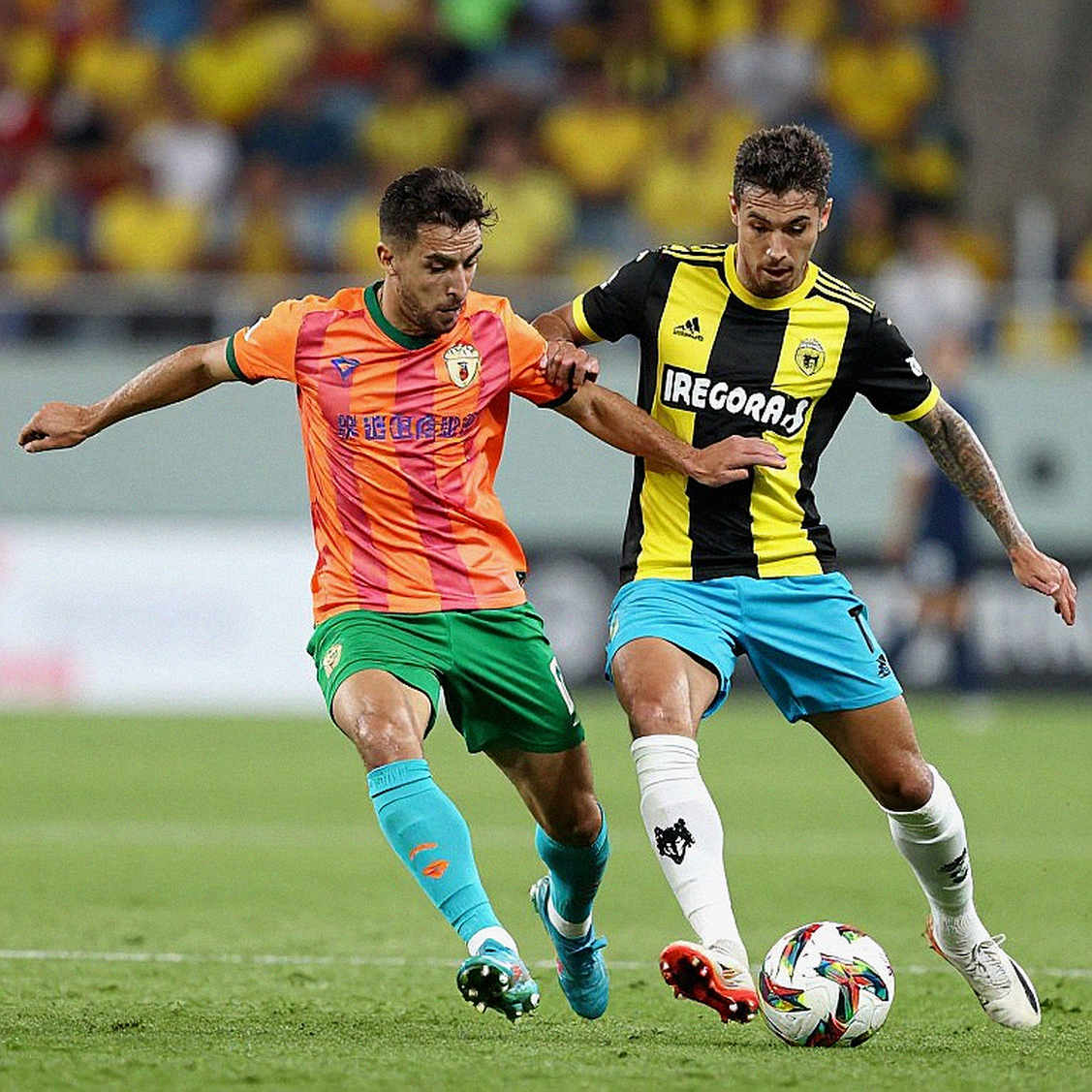 Paolo Vanoli returns to Fiorentina – Light from a familiar face in the Serie A storm Paolo Vanoli returns to Fiorentina – Light from a familiar face in the Serie A storm