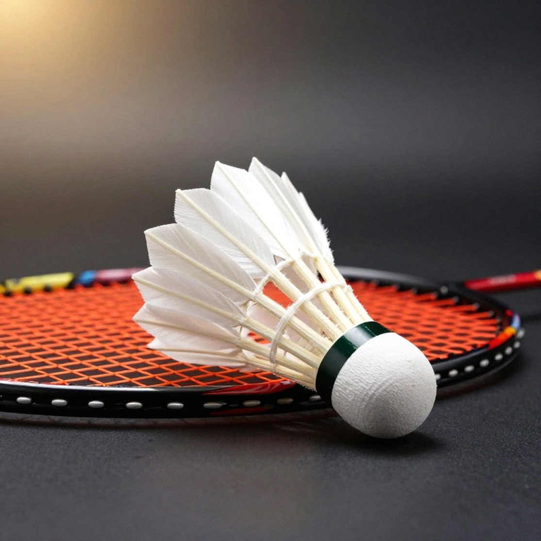 Satwiksairaj Rankireddy và Chirag Shetty tạo nên lịch sử, Ấn Độ giành chức vô địch đơn nam Trung Masters lần đầu tiên
