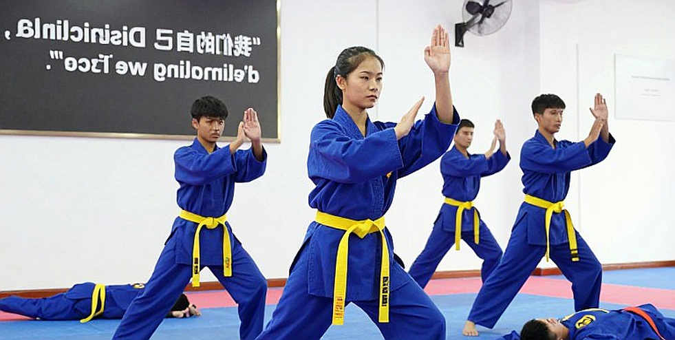 Vietnamese Martial Arts at a Crossroads: Preserving Heritage or Chasing Global Trends? Vietnamese Martial Arts at a Crossroads: Preserving Heritage or Chasing Global Trends?