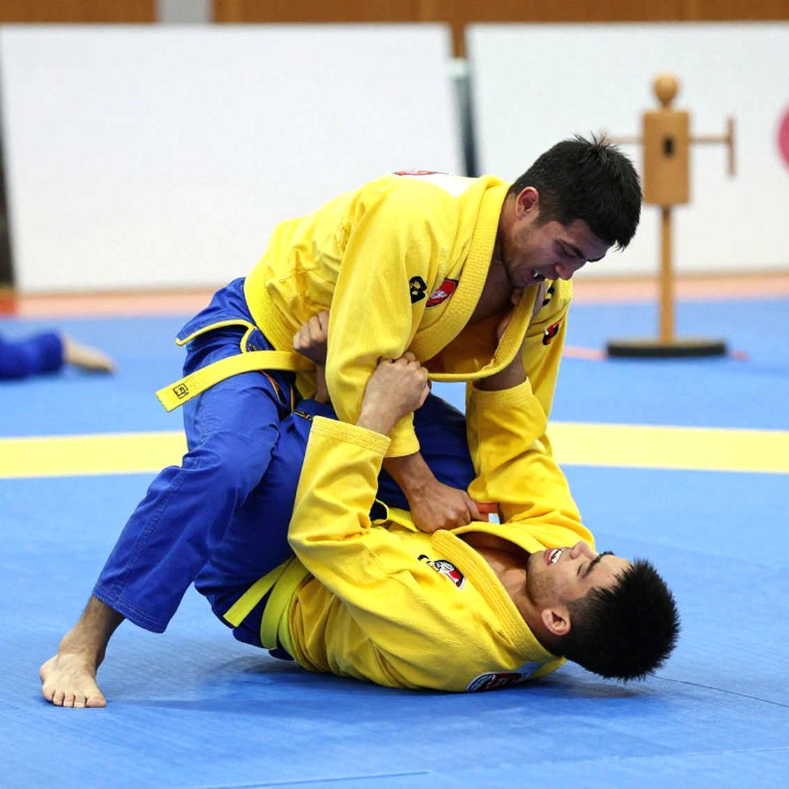Recounting Vietnamese Combat Sports: The Measures Nobody Reads After the Bell Recounting Vietnamese Combat Sports: The Measures Nobody Reads After the Bell
