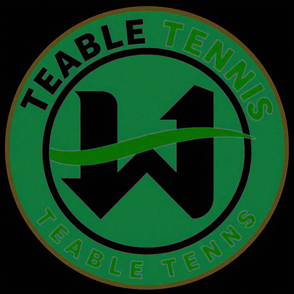 Table Tennis England lập học viện trọng tài bảy vùng: hạ tầng vô hình quyết định số trận mà một đứa trẻ được chơi